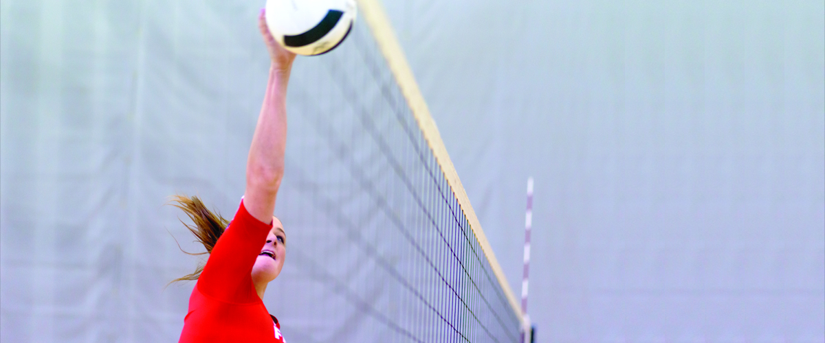 Volleyball Factory Home